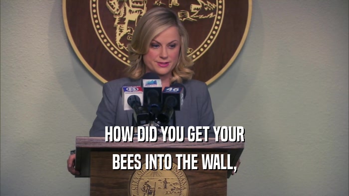 HOW DID YOU GET YOUR BEES INTO THE WALL, 
