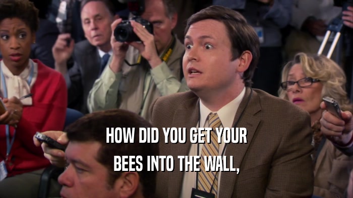 HOW DID YOU GET YOUR BEES INTO THE WALL, 
