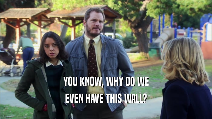 YOU KNOW, WHY DO WE EVEN HAVE THIS WALL? 