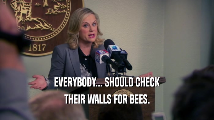 EVERYBODY... SHOULD CHECK THEIR WALLS FOR BEES. 