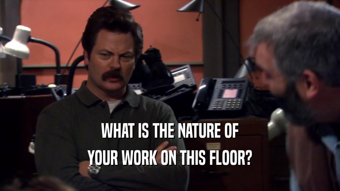 WHAT IS THE NATURE OF YOUR WORK ON THIS FLOOR? 