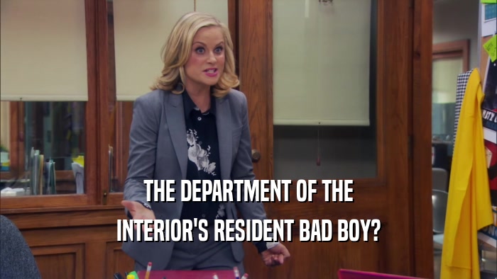 THE DEPARTMENT OF THE INTERIOR'S RESIDENT BAD BOY? 