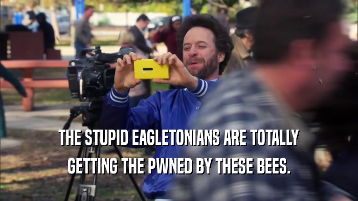 THE STUPID EAGLETONIANS ARE TOTALLY GETTING THE PWNED BY THESE BEES. 