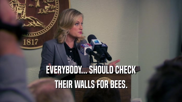 EVERYBODY... SHOULD CHECK THEIR WALLS FOR BEES. 