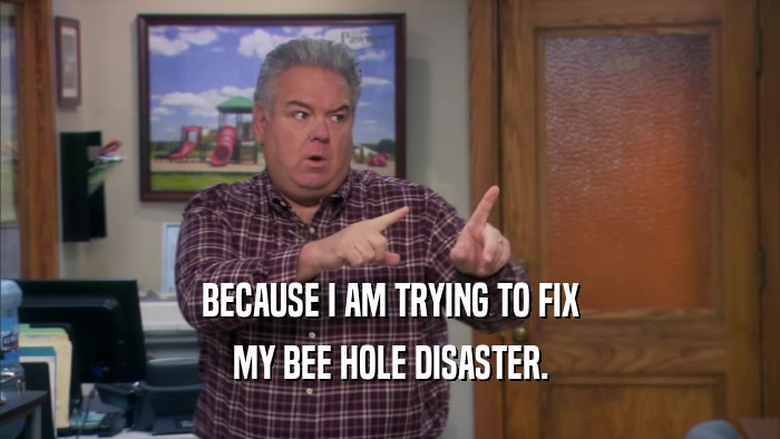 BECAUSE I AM TRYING TO FIX MY BEE HOLE DISASTER. 