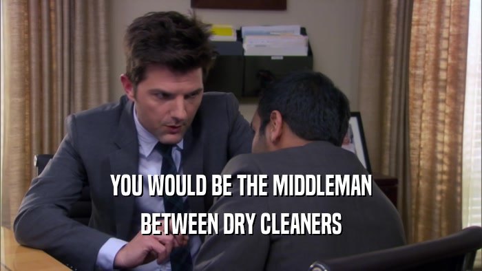 YOU WOULD BE THE MIDDLEMAN BETWEEN DRY CLEANERS 