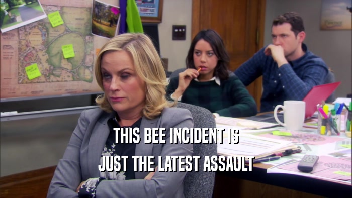 THIS BEE INCIDENT IS JUST THE LATEST ASSAULT 