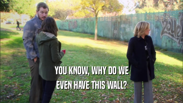 YOU KNOW, WHY DO WE EVEN HAVE THIS WALL? 