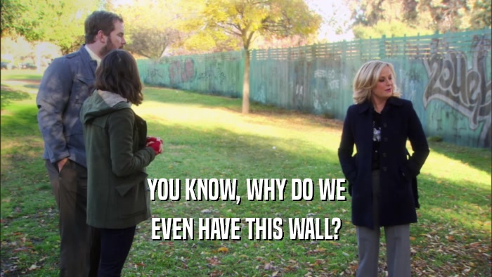 YOU KNOW, WHY DO WE EVEN HAVE THIS WALL? 