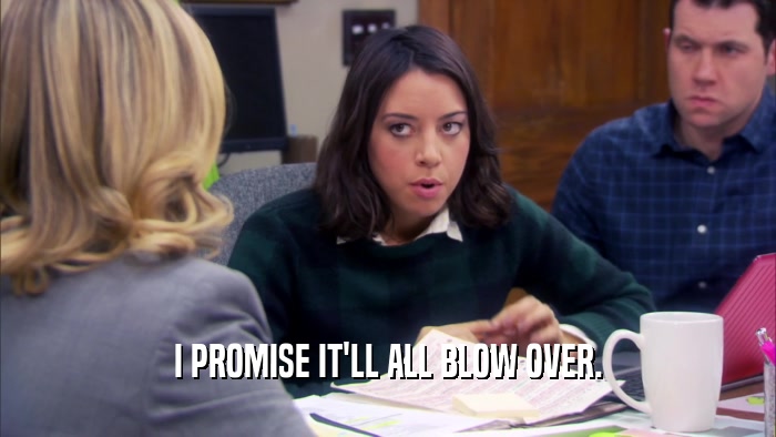 I PROMISE IT'LL ALL BLOW OVER.  