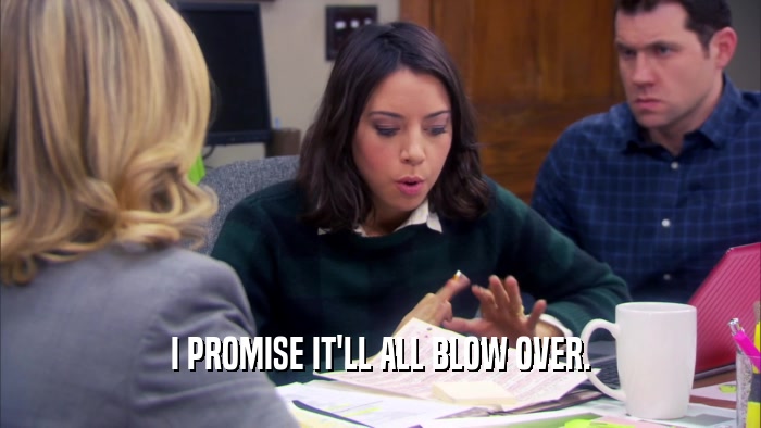 I PROMISE IT'LL ALL BLOW OVER.  