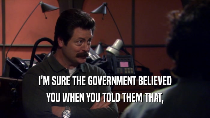 I'M SURE THE GOVERNMENT BELIEVED YOU WHEN YOU TOLD THEM THAT, 