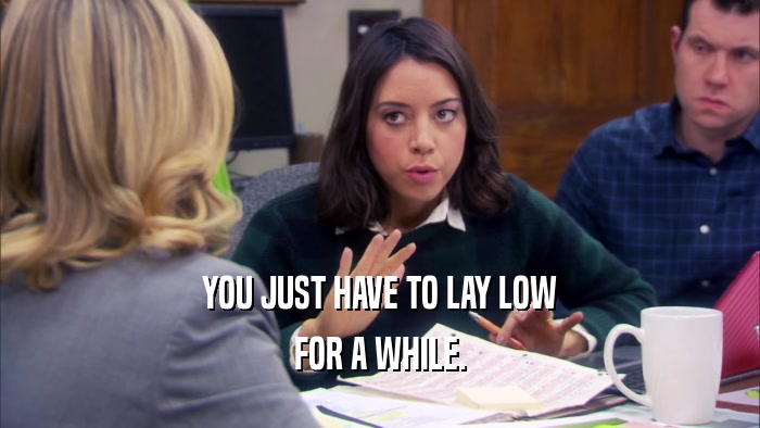 YOU JUST HAVE TO LAY LOW FOR A WHILE. 