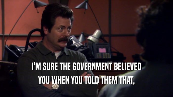 I'M SURE THE GOVERNMENT BELIEVED YOU WHEN YOU TOLD THEM THAT, 