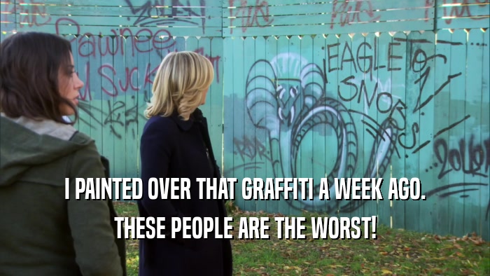 I PAINTED OVER THAT GRAFFITI A WEEK AGO. THESE PEOPLE ARE THE WORST! 