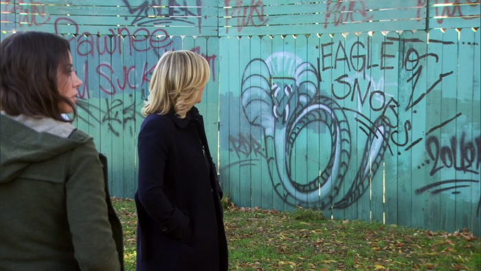 I PAINTED OVER THAT GRAFFITI A WEEK AGO. THESE PEOPLE ARE THE WORST! 