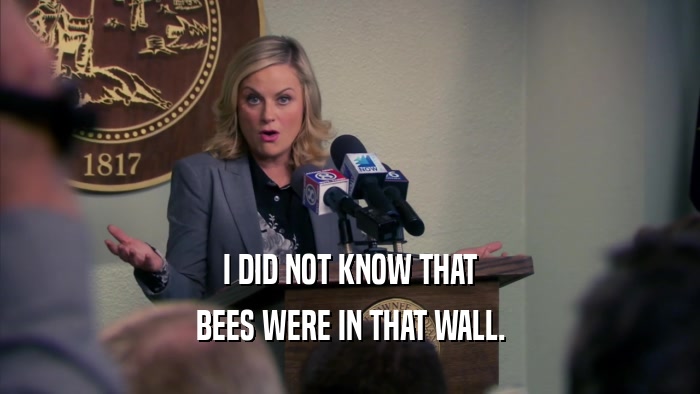 I DID NOT KNOW THAT BEES WERE IN THAT WALL. 