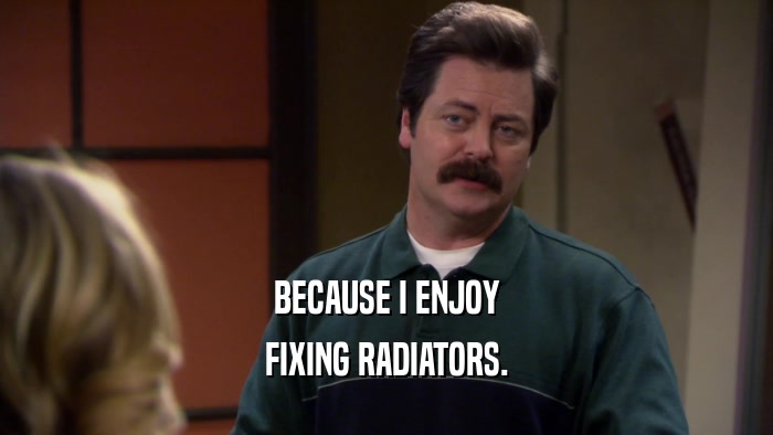 BECAUSE I ENJOY FIXING RADIATORS. 