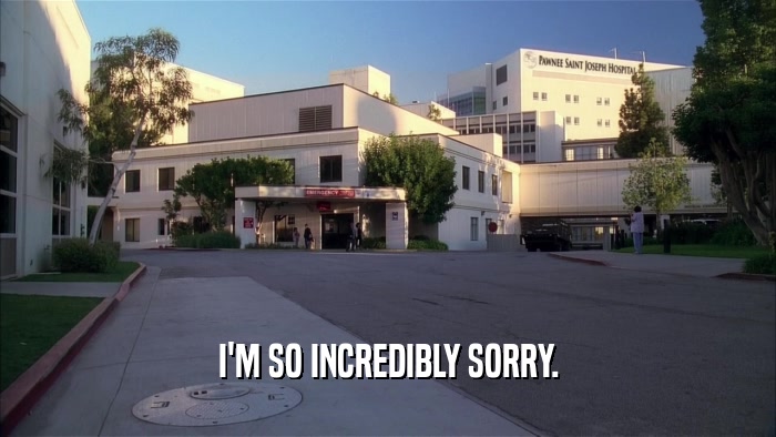 I'M SO INCREDIBLY SORRY.  