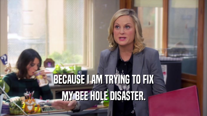 BECAUSE I AM TRYING TO FIX MY BEE HOLE DISASTER. 