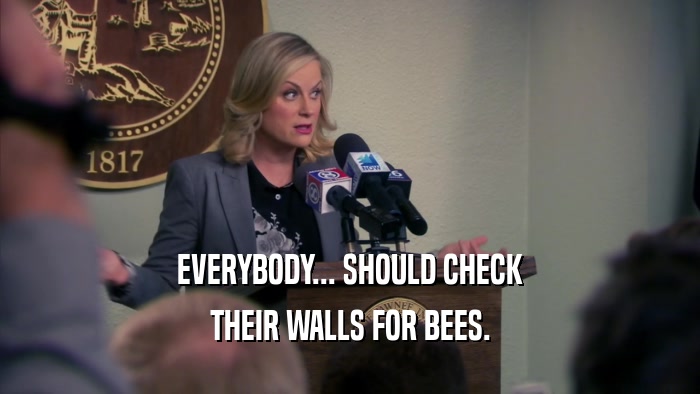 EVERYBODY... SHOULD CHECK THEIR WALLS FOR BEES. 
