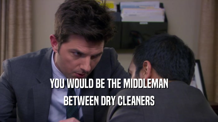 YOU WOULD BE THE MIDDLEMAN BETWEEN DRY CLEANERS 