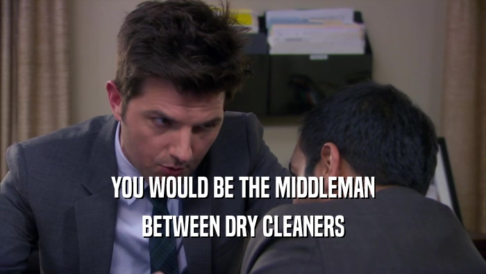 YOU WOULD BE THE MIDDLEMAN BETWEEN DRY CLEANERS 