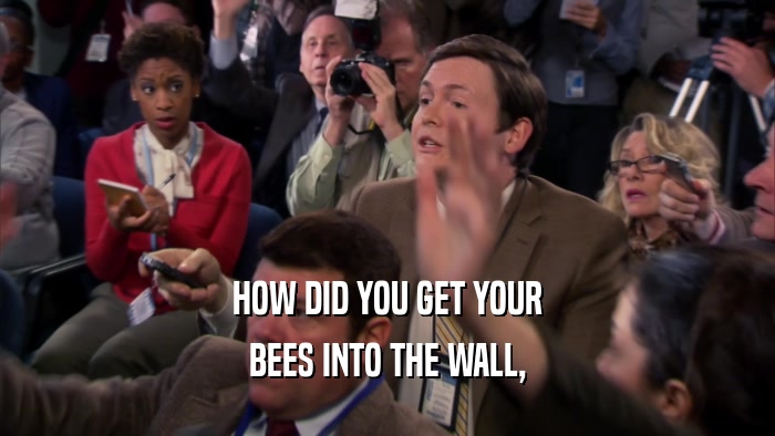 HOW DID YOU GET YOUR BEES INTO THE WALL, 