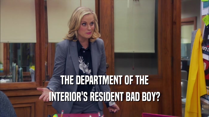 THE DEPARTMENT OF THE INTERIOR'S RESIDENT BAD BOY? 