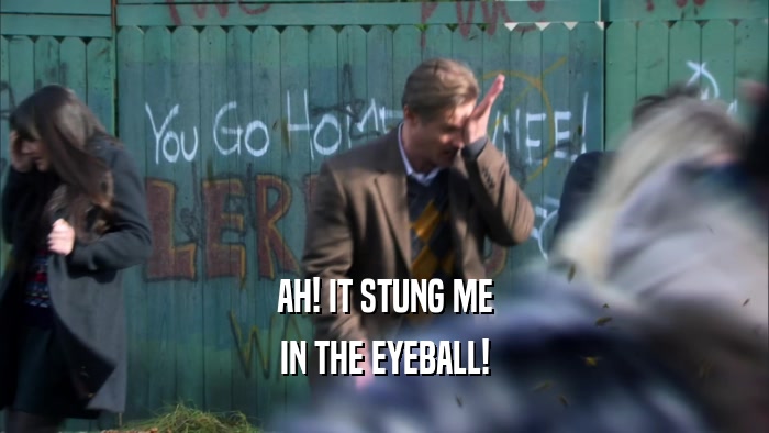 AH! IT STUNG ME IN THE EYEBALL! 