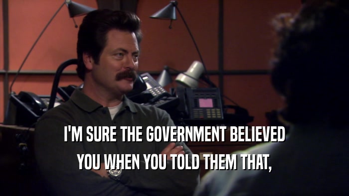 I'M SURE THE GOVERNMENT BELIEVED YOU WHEN YOU TOLD THEM THAT, 