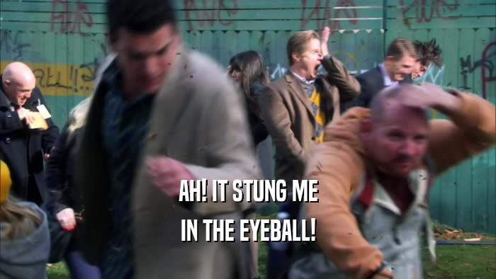 AH! IT STUNG ME IN THE EYEBALL! 