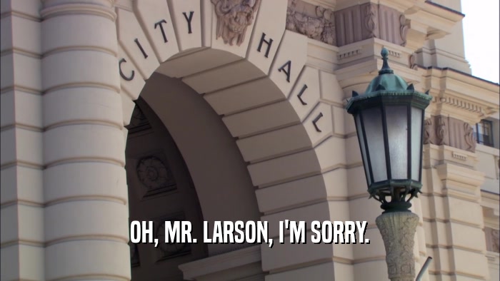 OH, MR. LARSON, I'M SORRY.
  