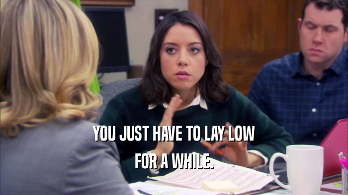 YOU JUST HAVE TO LAY LOW FOR A WHILE. 
