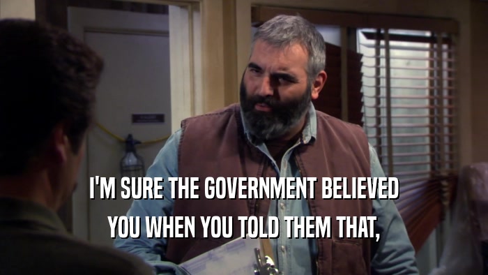 I'M SURE THE GOVERNMENT BELIEVED YOU WHEN YOU TOLD THEM THAT, 