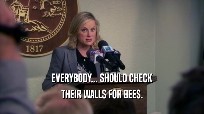 EVERYBODY... SHOULD CHECK THEIR WALLS FOR BEES. 