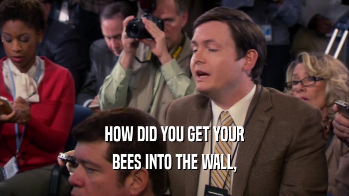 HOW DID YOU GET YOUR BEES INTO THE WALL, 