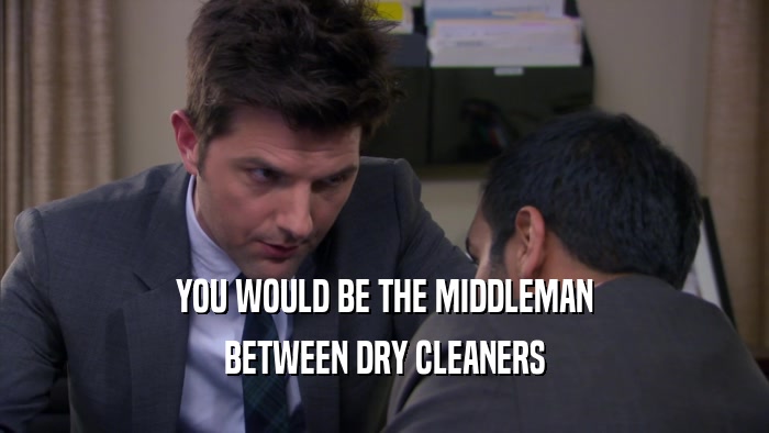YOU WOULD BE THE MIDDLEMAN BETWEEN DRY CLEANERS 