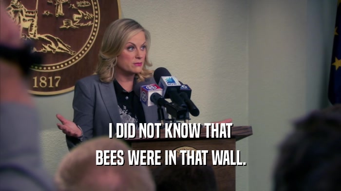 I DID NOT KNOW THAT BEES WERE IN THAT WALL. 