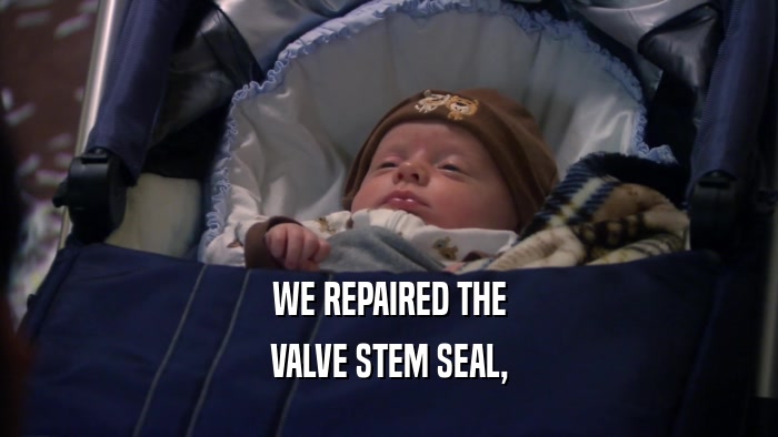 WE REPAIRED THE VALVE STEM SEAL, 
