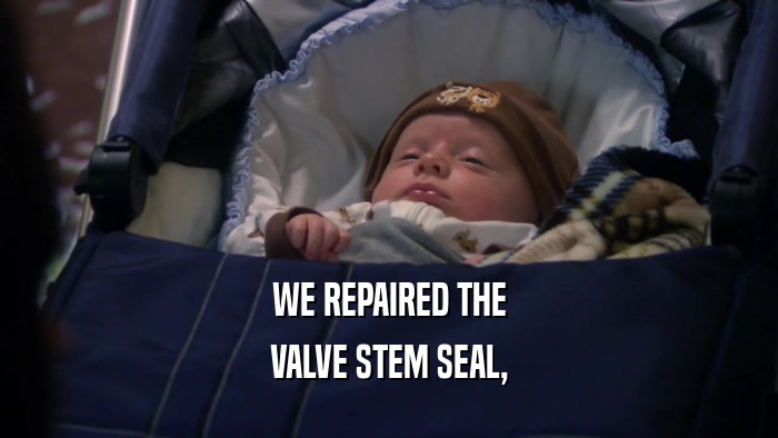 WE REPAIRED THE VALVE STEM SEAL, 
