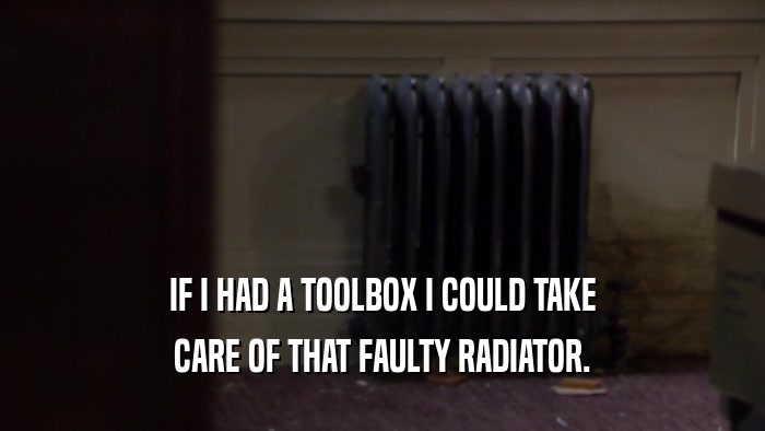 IF I HAD A TOOLBOX I COULD TAKE CARE OF THAT FAULTY RADIATOR. 