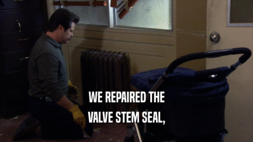 WE REPAIRED THE VALVE STEM SEAL, 