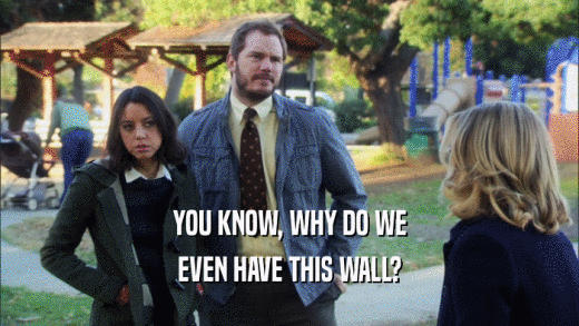 YOU KNOW, WHY DO WE EVEN HAVE THIS WALL? 