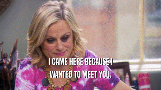 I CAME HERE BECAUSE I WANTED TO MEET YOU. 