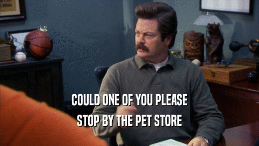 COULD ONE OF YOU PLEASE STOP BY THE PET STORE 