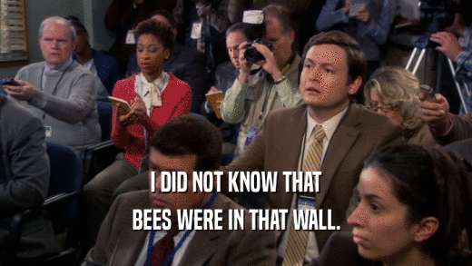I DID NOT KNOW THAT BEES WERE IN THAT WALL. 