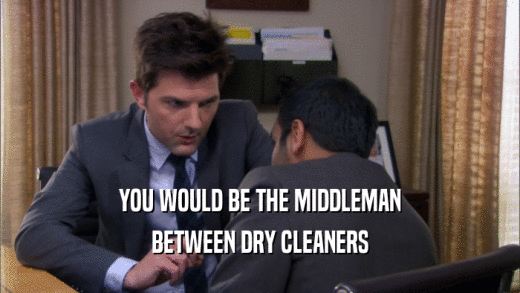 YOU WOULD BE THE MIDDLEMAN BETWEEN DRY CLEANERS 