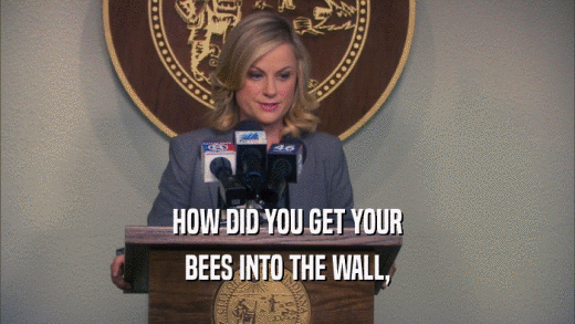 HOW DID YOU GET YOUR BEES INTO THE WALL, 