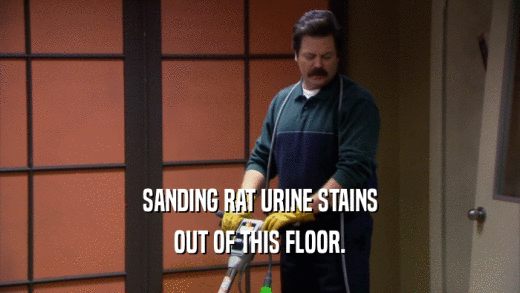SANDING RAT URINE STAINS
 OUT OF THIS FLOOR.
 